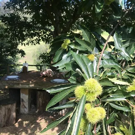 La Casa Del Castano بيت للعطل فيغاديو