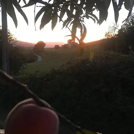La Casa Del Castano * Vegadeo
