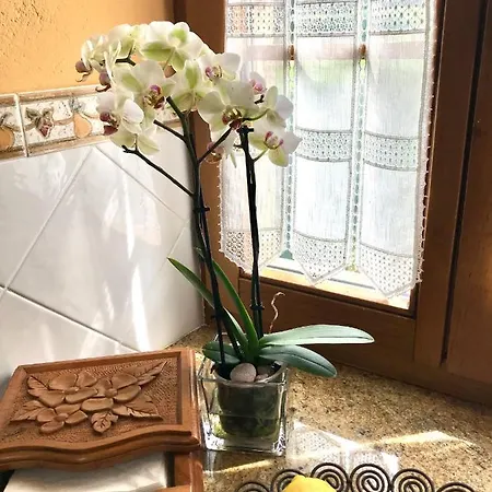 بيت للعطل La Casa Del Castano *